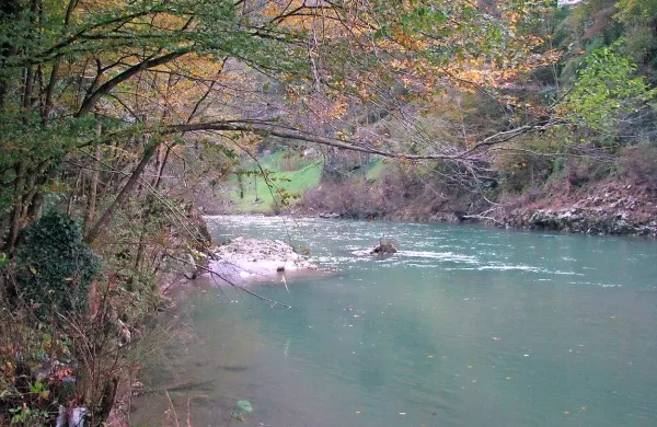 Idrijca
