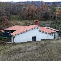 Namera koprske občine, da bi že s 1. julijem Obalno 
zavetišče za brezdomne živali v Dvorih pristalo pod okriljem 
Komunale Koper, se podira kot hiša iz kart. 