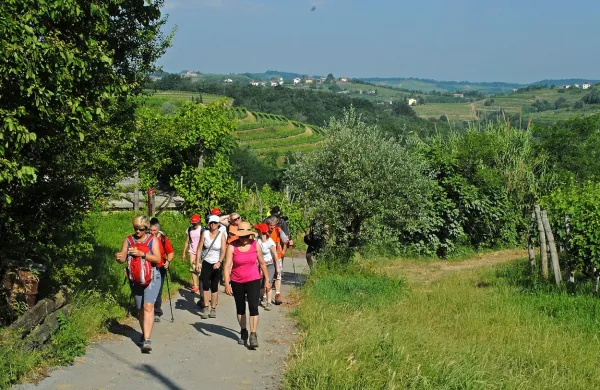 Pohod med češnjami in po prizoriščih Ene žlahtne štorije