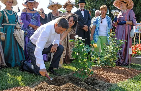 Predsednik  Borut Pahor je  v gredico slavnih zasadil vrtnico 
Portorož.