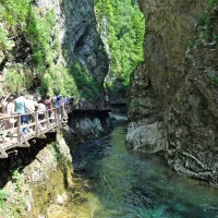 Soteska Vintgar je s svojo naravno lepoto očarala izletnike.