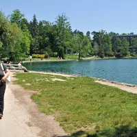 Sprehodili smo se ob Blejskem jezeru in občudovali okoliško 
rastje ter živelj, z elegantnimi labodi na čelu.