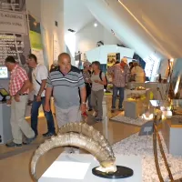 Planinski muzej Slovenije se ponaša s sodobnimi razstavnimi 
trendi in s številnimi interaktivnimi nalogami.