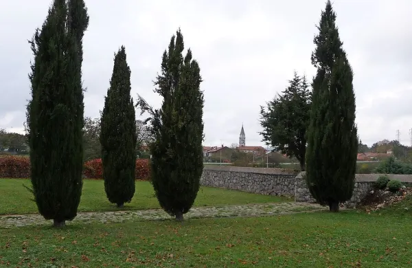 V Občini Divača želijo z odlokom o javnem redu in miru  rešiti  
tudi  nespodobno obnašanje do uradnih oseb, zadrževanje na 
pokopališču (na fotografiji)  in nasploh narediti kraj lepši in 
prijetnejši.