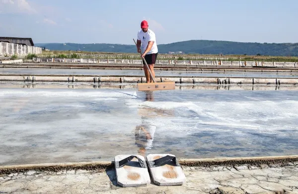 Poželi so prvo tono leto&scaron;nje soli