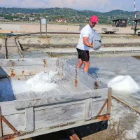 Prva lopata letošnje soli iz Sečoveljskih solin. 