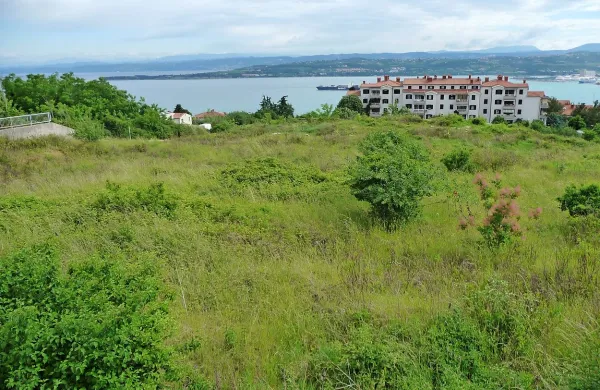 Za parcelo na Markovcu nobene ponudbe