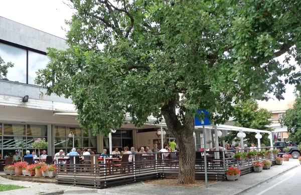 Lipiški turizem išče šefa, ki bo razumel turizem in znal 
prestrukturirati družbo Lipica turizem.