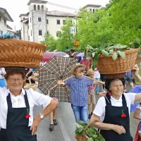 Češnje, vedo povedati v Brdih, so bile vedno tisti sadež, ki je prvi prinesel denar v hiši. In 
posebej Brike so jih znale prodajati daleč naokrog. 