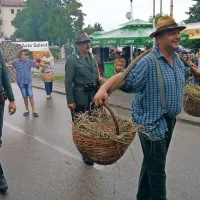 Brda letos spet polna če&scaron;enj