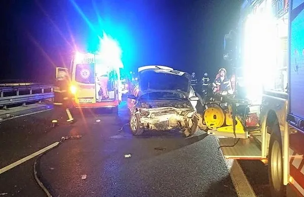 Pri Postojni jo je v nedeljo zvečer skupila 43-letna voznica iz 
Srbije. 