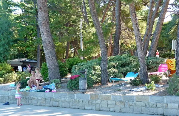  “Vse bolj se zavedamo, da enostavno ne bomo mogli varovati 
narave samo v nekih zelenih območjih, v parkih, ampak da so 
tudi zelene površine v mestih zelo pomembne za varovanje 
narave,” poudarja predstojnica oddelka za biodiverziteto na 
Famnitu Elena Bužan. 