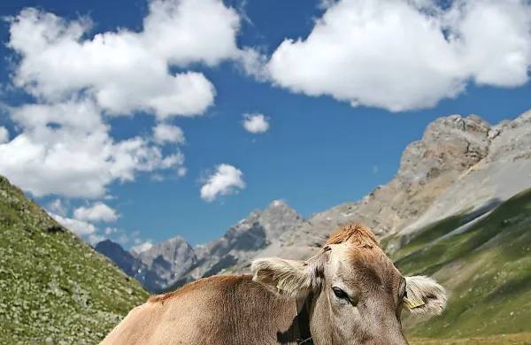 Fotografija je simbolična.