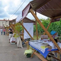 Svoje dejavnosti so predstavljala tudi kraška društva, ki so 
popestrila pliskoviške ulice.