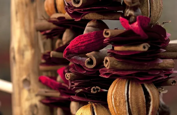 V Taverni danes bazar kultur