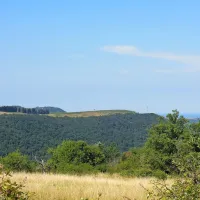 Antena na slovenskem delu Briča (rdeče-beli stolp) prinaša dober mobilni signal krajanom 
Laborja, do Boršta in Glema pa njen vpliv komaj kaj seže.