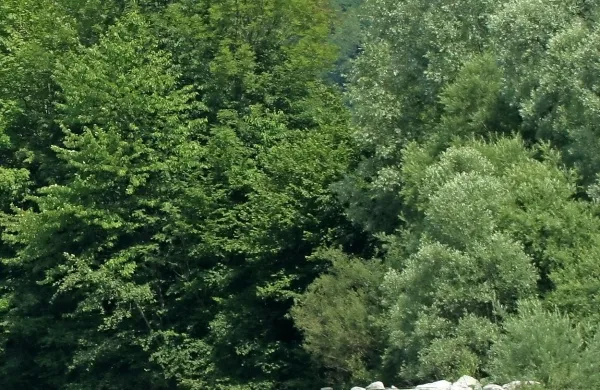 Fotografija je simbolična.