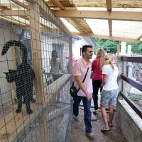 Živali odvažajo iz zaveti&scaron;ča