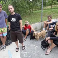 Živali odvažajo iz zaveti&scaron;ča