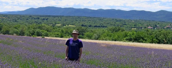 Na poljih sivke  na Ivanjem Gradu bo ta vikend pestro, pravi Medvedšek.