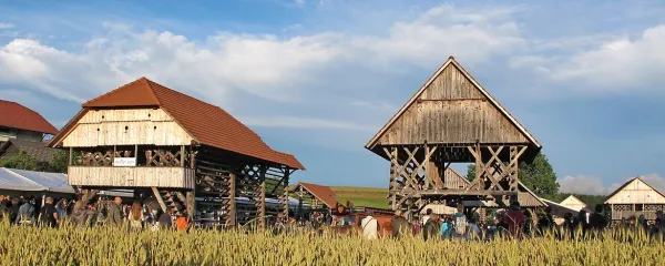 Pod kozolci tudi po  primorsko