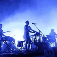 Caribou