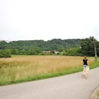 Revizija je ugotovila, da je pogodba za  posel z zemljišči na 
Liskurju  “negospodarna in nezakonita.” 