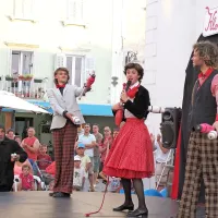&Scaron;irijo zdravo norost