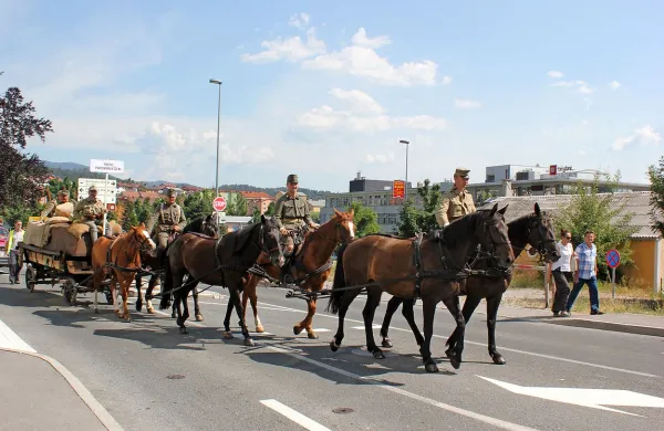 Zmagovalci letošnjega Furmanskega praznika, Društvo Doli 
v sodelovanju z Društvom soška fronta in Goriškim muzejem, 
so prikazali prevoz pontonskega čolna na Soško fronto. 