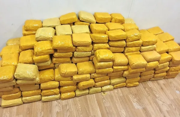 Združba naj bi stala tudi za prevozom 370 kilogramov 
heroina, ki sta ga slovenska prevoznika poskušala pretihotapiti iz Grčije, a so ju aretirali. 