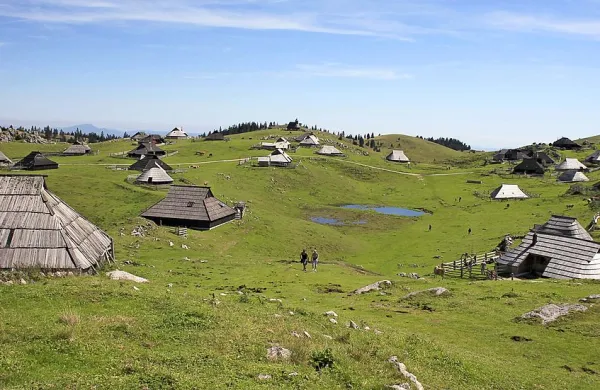 Velika planina je poleti zatočišče tistim, ki ne marajo vročine 
in bi radi zadihali hladnejši zrak.