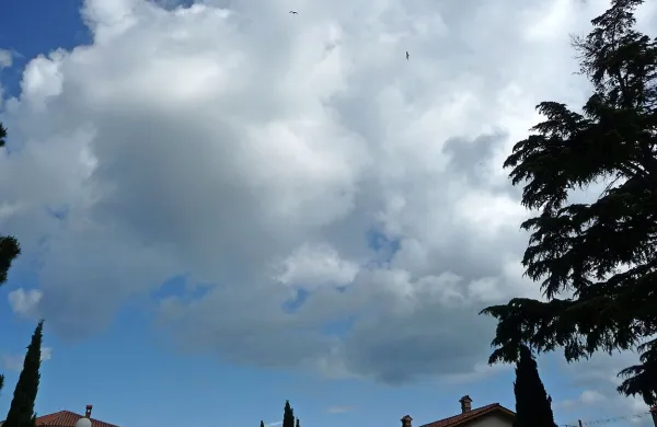 Danes bo večji del dneva še sončno in vroče, popoldne se 
bodo začele na severu pojavljati plohe in nevihte, ki bodo 
zvečer zajele vso državo. 