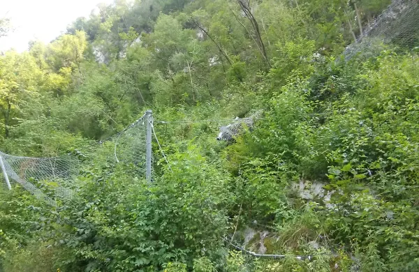 Pot je bila zaščitena z mrežo, a ta ni zdržala naleta skale. 
Bodo namestili dodatne?