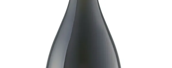 Vrhpoljski vinarji svoja vina predstavljajo v vinoteki sredi 
vasi.