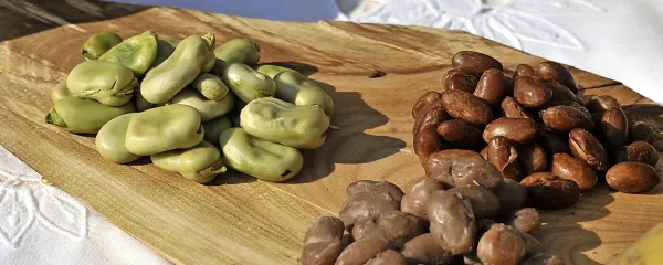  Večina ljudi misli, da je bob (levo) debela vrsta fižola, čeprav 
to ni. Bob in fižol sta le sorodnika, pri čemer je bob na naših 
tleh “staroselec”, fižol pa “priseljenec”. 