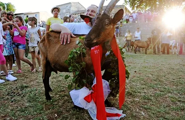 Naj koza Istre Roška