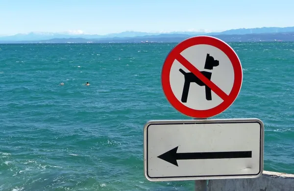 Veliko plaž uradno označuje prepoved za vstop s psmi.  