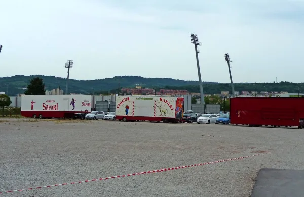 Včeraj zjutraj so bili trije tovornjaki Cirkusa Safari  parkirani na 
Grafistovem parkirišču, že popoldne pa so se morali umakniti 
s tega območja. 