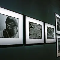 Fotografija iz  Ruande (1994), ki je ena najbolj poznanih 
Nachtweyevih podob, prikazuje hutujca. Ta ni podpiral genocida in so ga  zato  zaprli  v koncentracijsko taborišče, kjer 
so ga izstradali in napadli z mačetami.