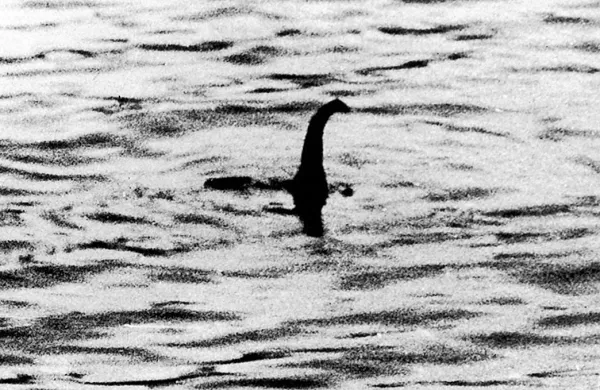 Znamenita pošast iz škotskega jezera Loch Ness ni morda 
nič drugega kot ogromna riba.
