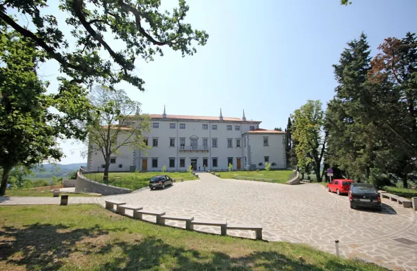 Vseh dreves, na žalost domačinov, niso ohranili, da vile ne bi 
preveč zakrivali. 