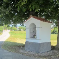 Strokovno in prostovoljno obnovljena kapelica ob vhodu v 
Dolenjo vas daje vedeti, da sta  vaščanom pomembna videz 
in urejenost kraja.   