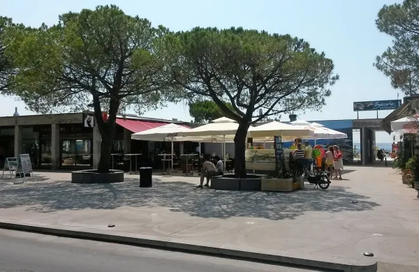 Portoroškega podjetnika Vejsila Hota so policisti v noči na 
nedeljo iz centra Portoroža odpeljali na pridržanje na policijsko postajo, Meiri Hot pa izrekli globo zaradi kršenja 
javnega reda in miru.  