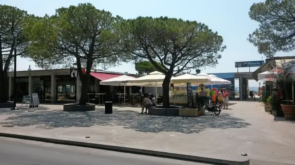 Portoroškega podjetnika Vejsila Hota so policisti v noči na 
nedeljo iz centra Portoroža odpeljali na pridržanje na policijsko postajo, Meiri Hot pa izrekli globo zaradi kršenja 
javnega reda in miru.  