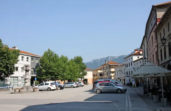 Vipavci razmišljajo,  da bi  avtomobile na trgu zamenjali z 
izvirno ponudbo.