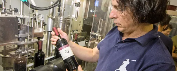 Pri Marjanu Simčiču je zdaj čas za stekleničenje vin lanskega 
letnika.