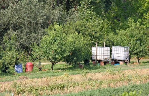 Kmetje si pomagajo na različne načine, samo da voda pride 
do njive.