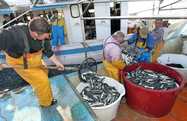 Slovenski sektor pomorstva, ribištva in ribogojstva bo v 
obdobju od 2014 do 2020 dobil 32,6 milijona evrov, od tega 
skoraj 25 milijonov evrov evropskega denarja.