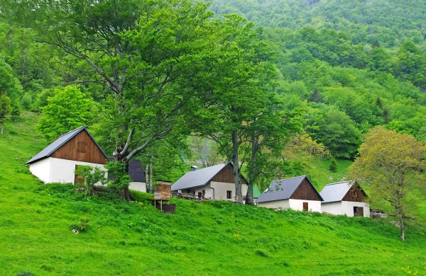 Pri obnovi   planine Laška seč so uporabljali tradicionalne materiale iz okolja ...