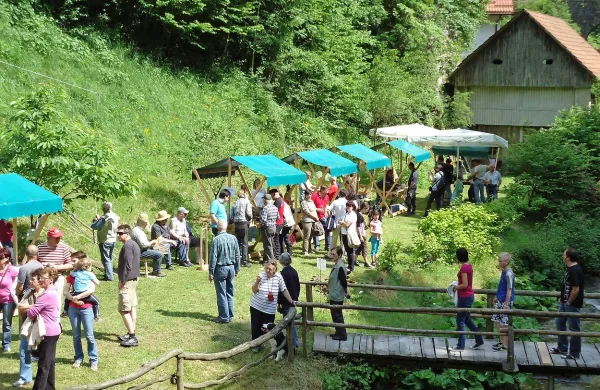 Fotografija je simbolična.